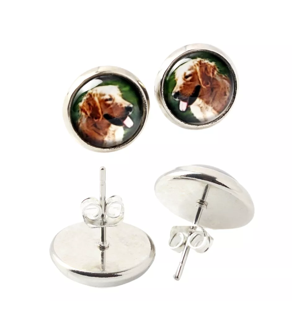 Golden Retriever - earrings in a box, your photo, handmade jewelry, a product of the Art-Dog brand