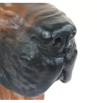 Deutsche Dogge, Ulmer Dogge, Große Dogge III - Hundebüste, großer Hundekopf für den Garten, einzigartige Wohnzimmerdekoration der Marke Art-Dog