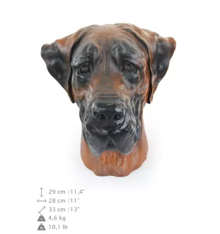 Deutsche Dogge, Ulmer Dogge, Große Dogge III - Urne für Hundeasche, Hundebüste, großer Hundekopf für den Garten von Art-Dog