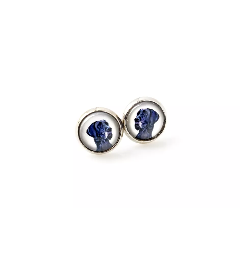 Great Dane - earrings your photo handmade, own photo, jewelry from the Art.-Dog brand