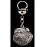 Brüsseler Griffon, Griffon Bruxellois I - Versilberter Schlüsselanhänger mit Hund, Handtaschen-Dekoration, Rucksack-Anhänger der Marke Art-Dog