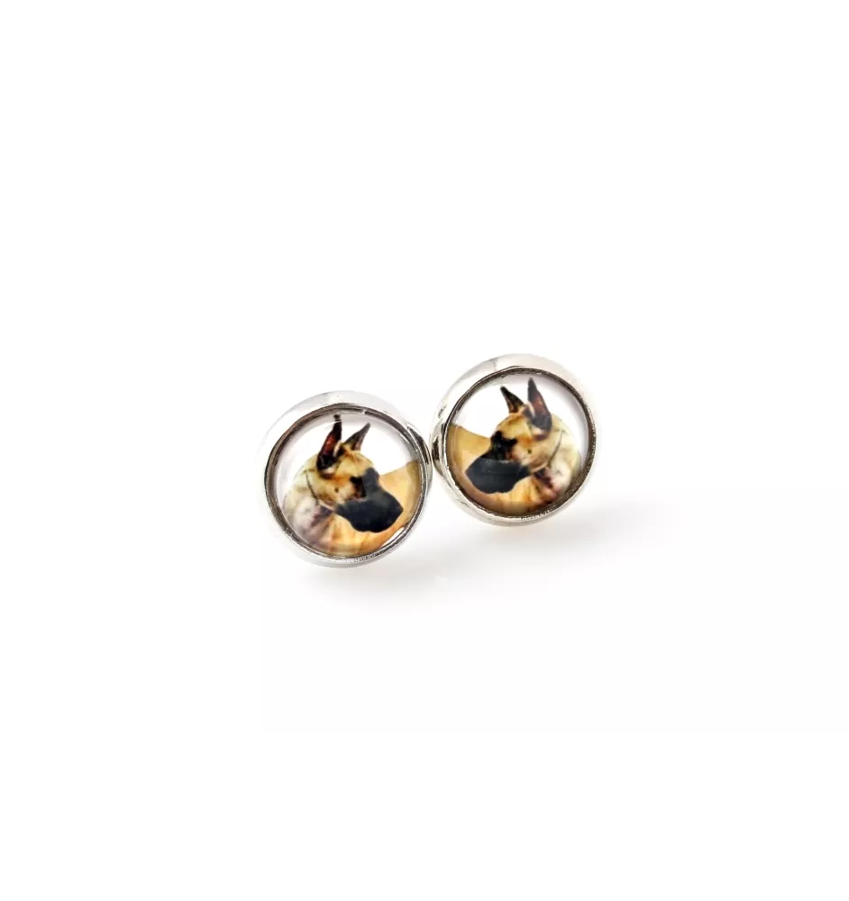 Great Dane I - earrings your photo handmade, own photo, jewelry from the Art.-Dog brand