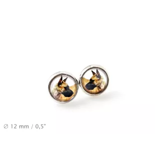 Great Dane I - earrings your photo handmade, own photo, jewelry from the Art.-Dog brand