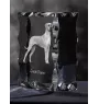 Dogue allemand, Grand danois - cristal avec photo de chien, statuette en verre avec photo, cadre exceptionnel avec photo de la marque Art-Dog