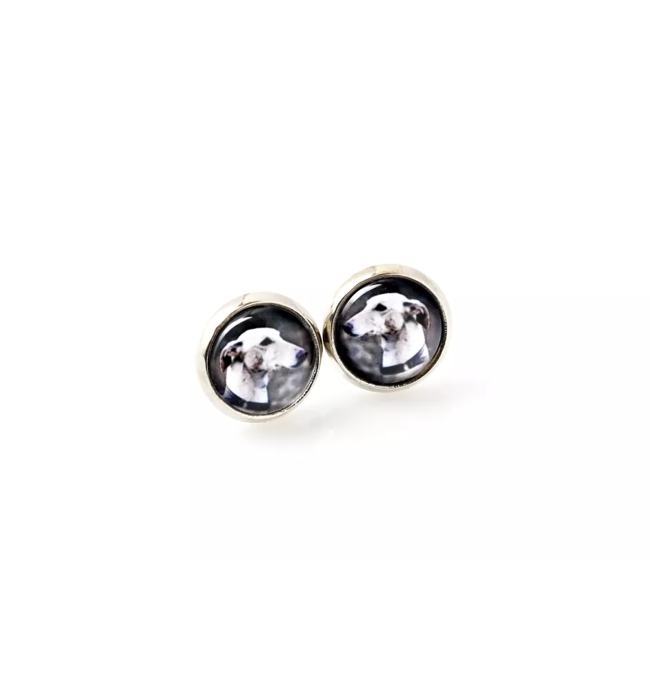 Greyhound kolczyki ze zdjęciem Art-Dog