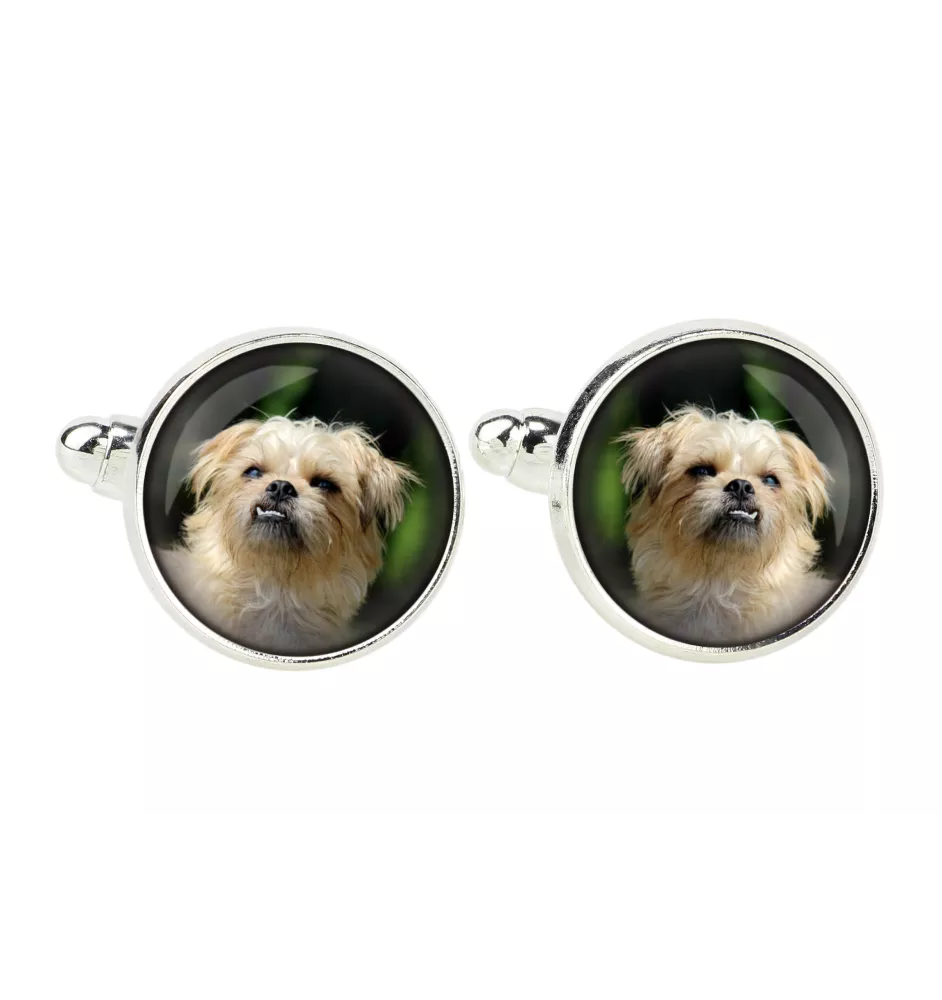 Griffon Bruxellois, Brussels Griffon - cufflinks, a shirt accessory, a shirt pendant from the Art-Dog brand