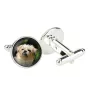 Griffon Bruxellois, Brussels Griffon - cufflinks, a shirt accessory, a shirt pendant from the Art-Dog brand