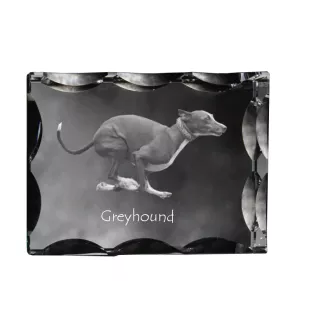 Greyhound, English Greyhound - crystal with a picture of a dog, glass statuette with a picture, unique frame with a picture from Art-Dog brand