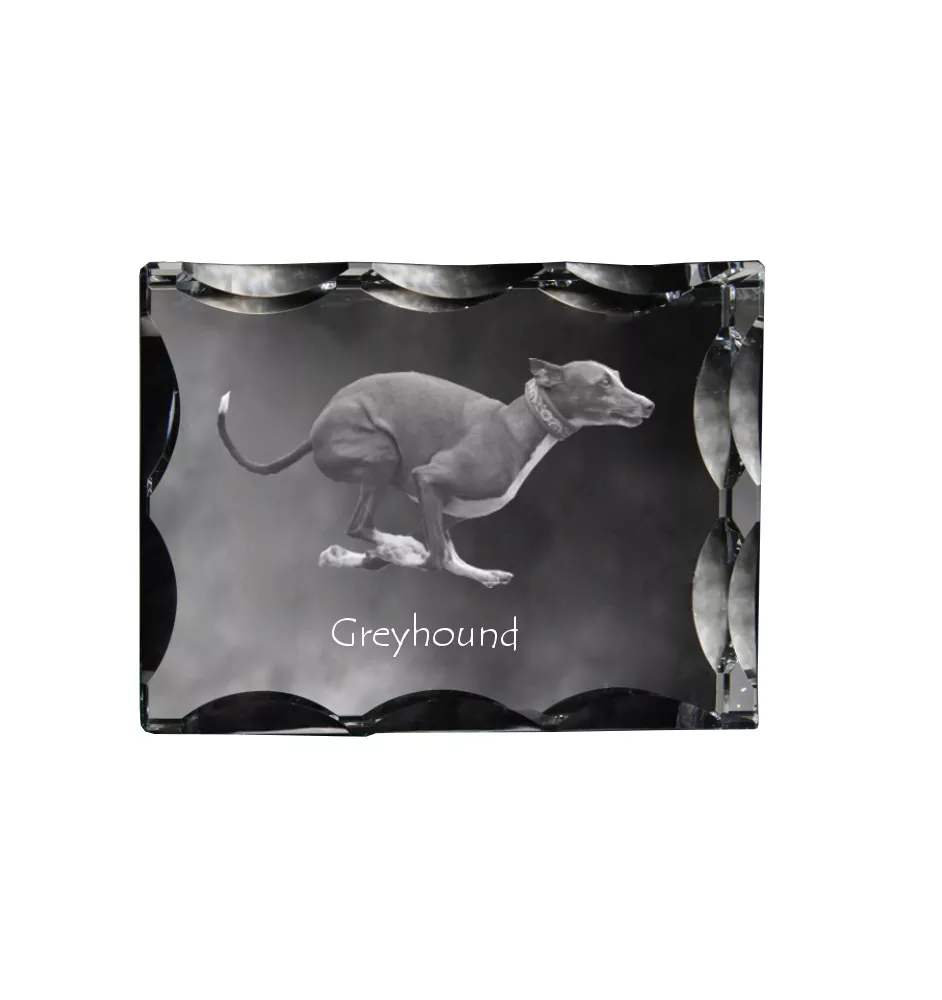 Greyhound, English Greyhound - crystal with a picture of a dog, glass statuette with a picture, unique frame with a picture from Art-Dog brand