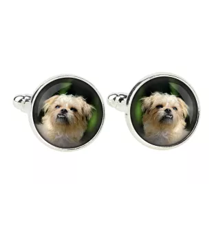 Griffon Bruxellois, Brussels Griffon - cufflinks in a box, handmade jewelry, product of the Art-Dog brand