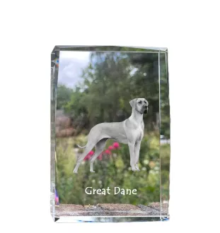 Deutsche Dogge, Ulmer Dogge, Große Dogge - Kristall mit einem Hundebild, Bild im Glas, moderne Ausstellung des Art-Dog-Bildes.