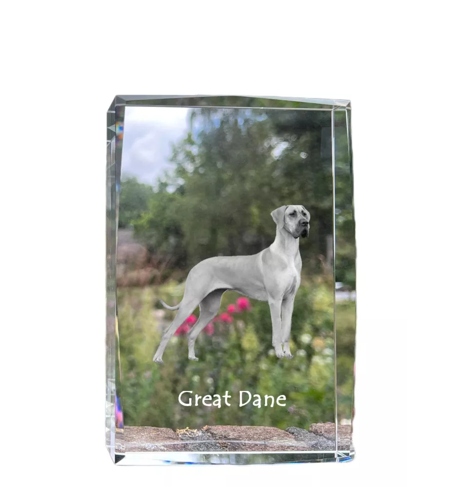 Deutsche Dogge, Ulmer Dogge, Große Dogge - Kristall mit einem Hundebild, Bild im Glas, moderne Ausstellung des Art-Dog-Bildes.