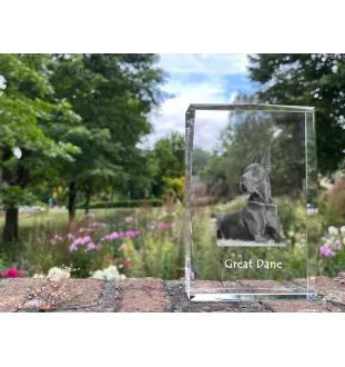 Dogue allemand, Grand danois I - cristal avec une photo de chien, photo sous verre, exposition moderne de la marque de photos Art-Dog