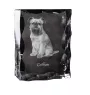 Brüsseler Griffon, Griffon Bruxellois - Kristall mit einem Hundebild, Glasstatuette mit einem Bild, einzigartiger Bilderrahmen der Marke Art-Dog