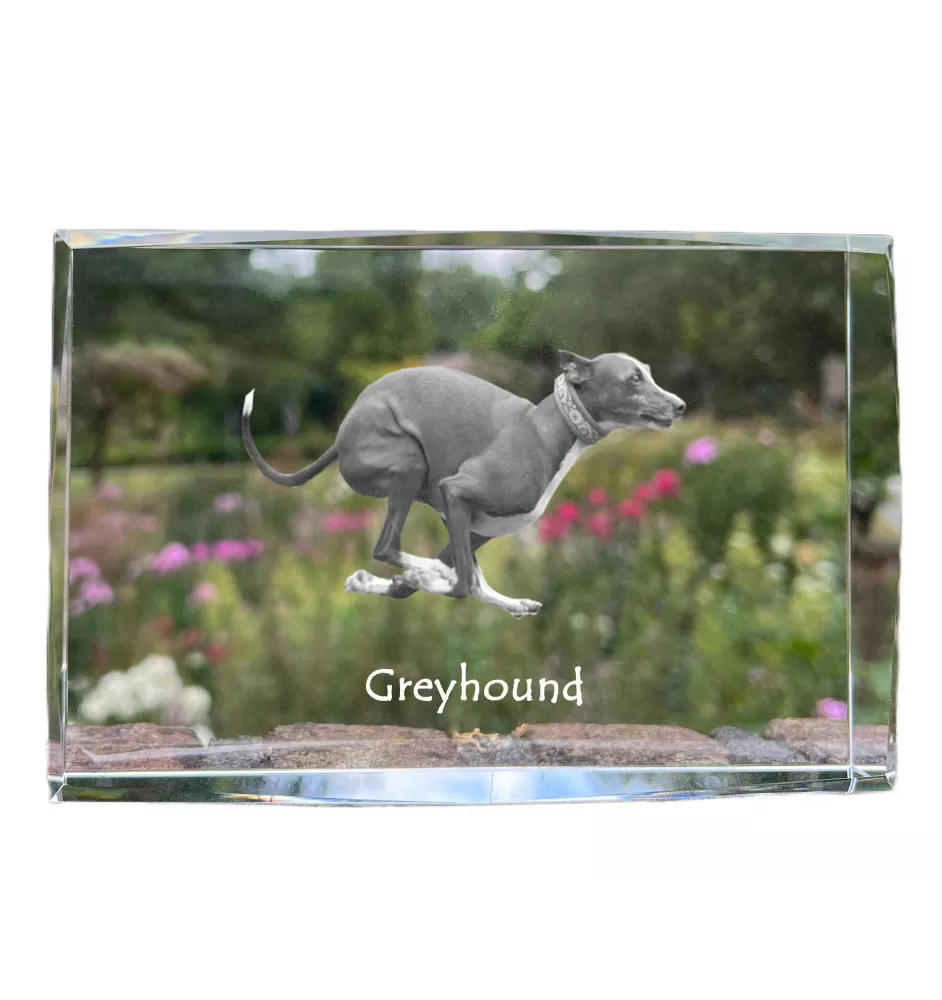 Greyhound, English Greyhound - crystal with a picture of a dog, photo in glass, modern exhibition of Art-Dog brand photo