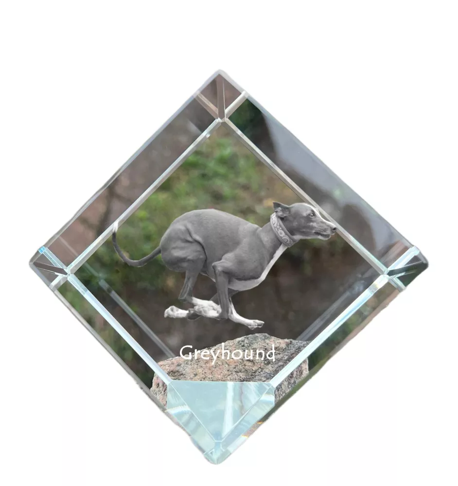 Greyhound, English Greyhound - crystal cube with a photo, photo of a horse in crystal, cubic paperweight from Art-Dog brand