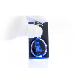 Griffon bruxellois - pendentif avec une photo de chien, porte-clés en cristal dans une boîte cadeau, un cadeau unique par Art-Dog