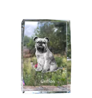 Griffon bruxellois - cristal avec une photo de chien, photo sous verre, exposition moderne de la marque de photos Art-Dog