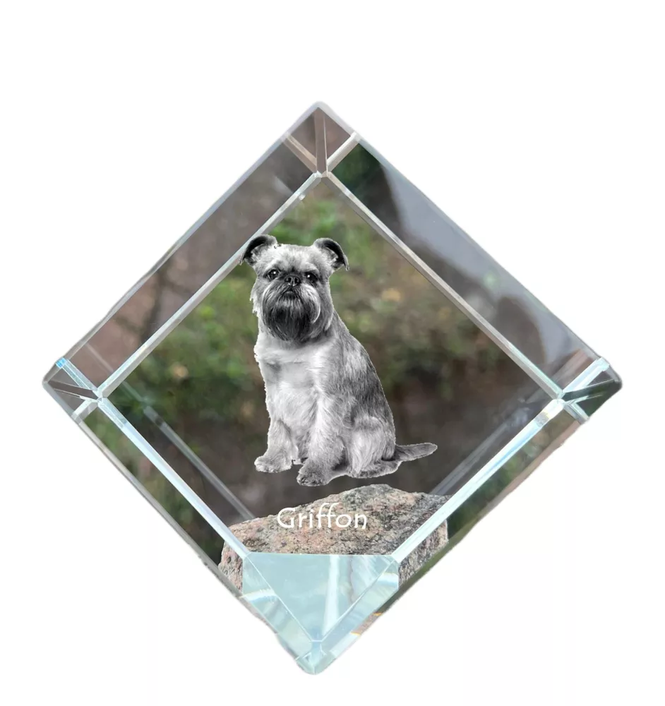 Griffon bruxellois - un cube de cristal avec une photo, une photo de cheval dans le cristal, un presse-papiers cubique de la marque Art-Dog