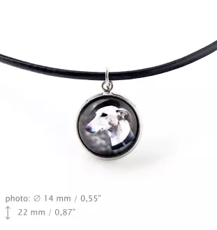 Greyhound komplet w pudełku ze zdjęciem Art-Dog