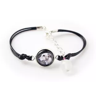 Greyhound, English Greyhound - a set of jewelry in a box, necklace, earrings, bracelet, products from the Art-Dog brand