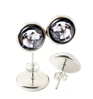 Lévrier anglais, Greyhound - boucles d'oreilles dans une boîte, votre photo, bijoux faits à la main, produit de la marque Art-Dog.