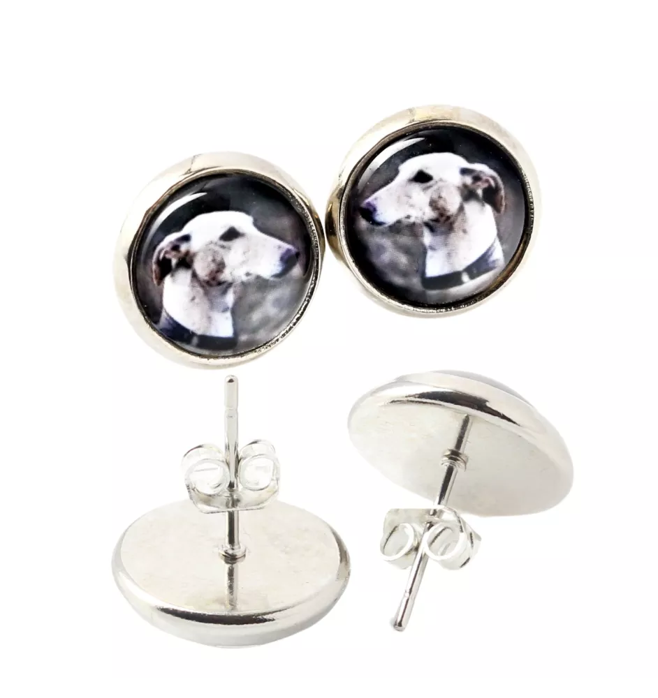 Lévrier anglais, Greyhound - boucles d'oreilles dans une boîte, votre photo, bijoux faits à la main, produit de la marque Art-Dog.