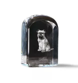 Brüsseler Griffon, Griffon Bruxellois - Kristallwürfel mit Bild, Hundebild im Kristall, sechseckiger Papierclip von Art-Dog.