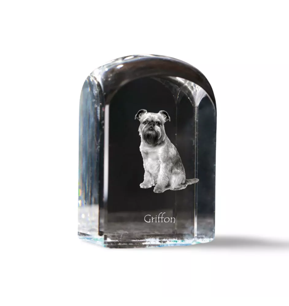 Brüsseler Griffon, Griffon Bruxellois - Kristallwürfel mit Bild, Hundebild im Kristall, sechseckiger Papierclip von Art-Dog.