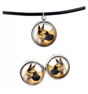 Great Dane I - jewelry with your photo box, set of necklace and earrings, personalized products from the Art-Dog brand