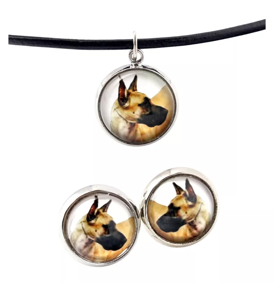 Dogue allemand, Grand danois I - boîte à bijoux avec votre photo, ensemble collier et boucles d'oreilles, produits personnalisés de la marque Art-Dog