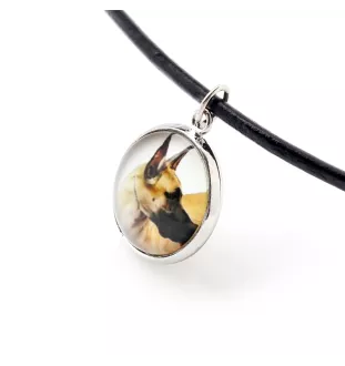Great Dane I - jewelry with your photo box, set of necklace and earrings, personalized products from the Art-Dog brand