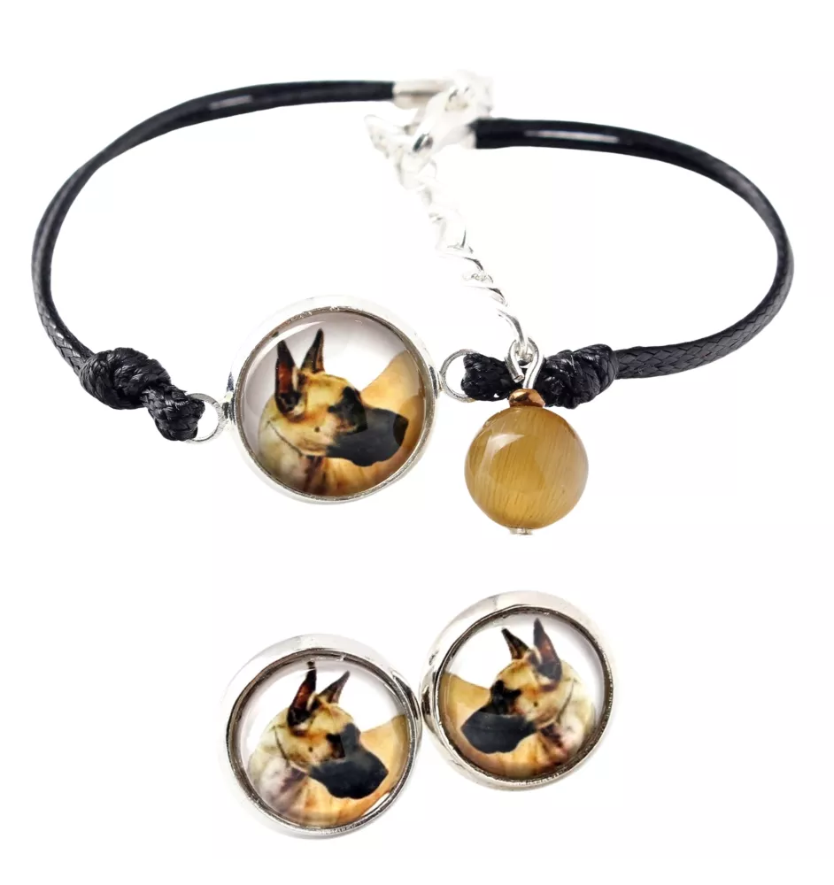 Dogue allemand, Grand danois I - ensemble de bijoux avec votre photo, accessoire féminin, article fait main, produit fabriqué à la main avec passion pour la création de la marque Art-Dog