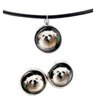 Brüsseler Griffon, Griffon Bruxellois - Schmuck mit Ihrem Foto-Box, Halskette und Ohrringe-Set, personalisierte Produkte der Marke Art-Dog.