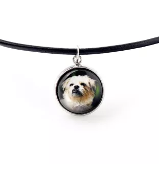 Brüsseler Griffon, Griffon Bruxellois - Schmuck mit Ihrem Foto-Box, Halskette und Ohrringe-Set, personalisierte Produkte der Marke Art-Dog.