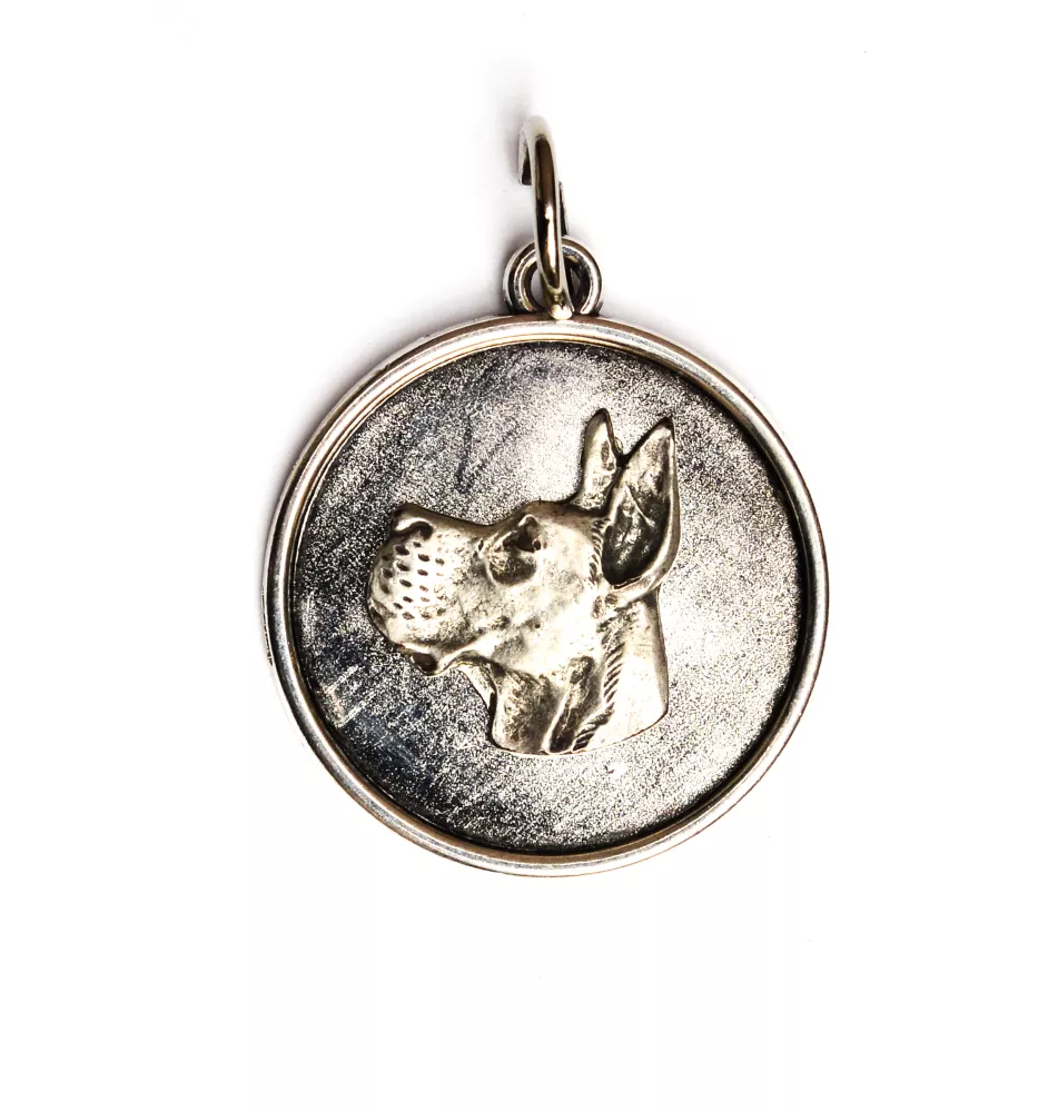 Great Dane I - necklace with a dog, pendant for a dog mom, unique jewelry from the Art-Dog brand