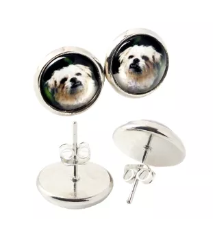 Griffon bruxellois - boucles d'oreilles dans une boîte, votre photo, bijoux faits à la main, produit de la marque Art-Dog.