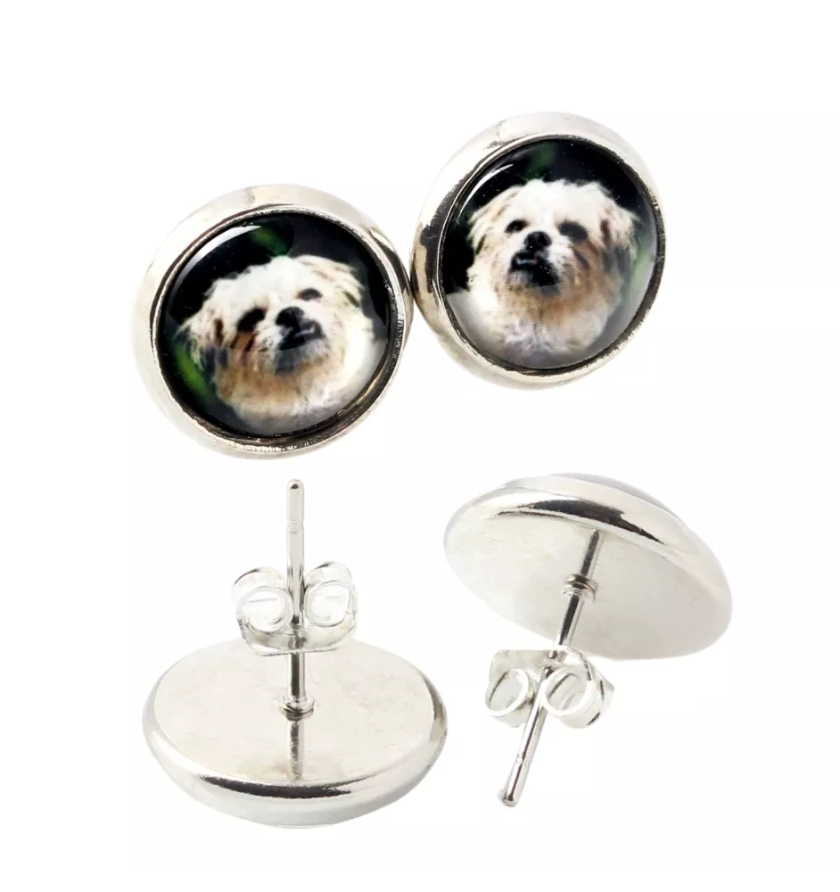 Griffon bruxellois - boucles d'oreilles dans une boîte, votre photo, bijoux faits à la main, produit de la marque Art-Dog.