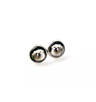 Griffon Bruxellois, Brussels Griffon - earrings in a box, your photo, handmade jewelry, a product of the Art-Dog brand