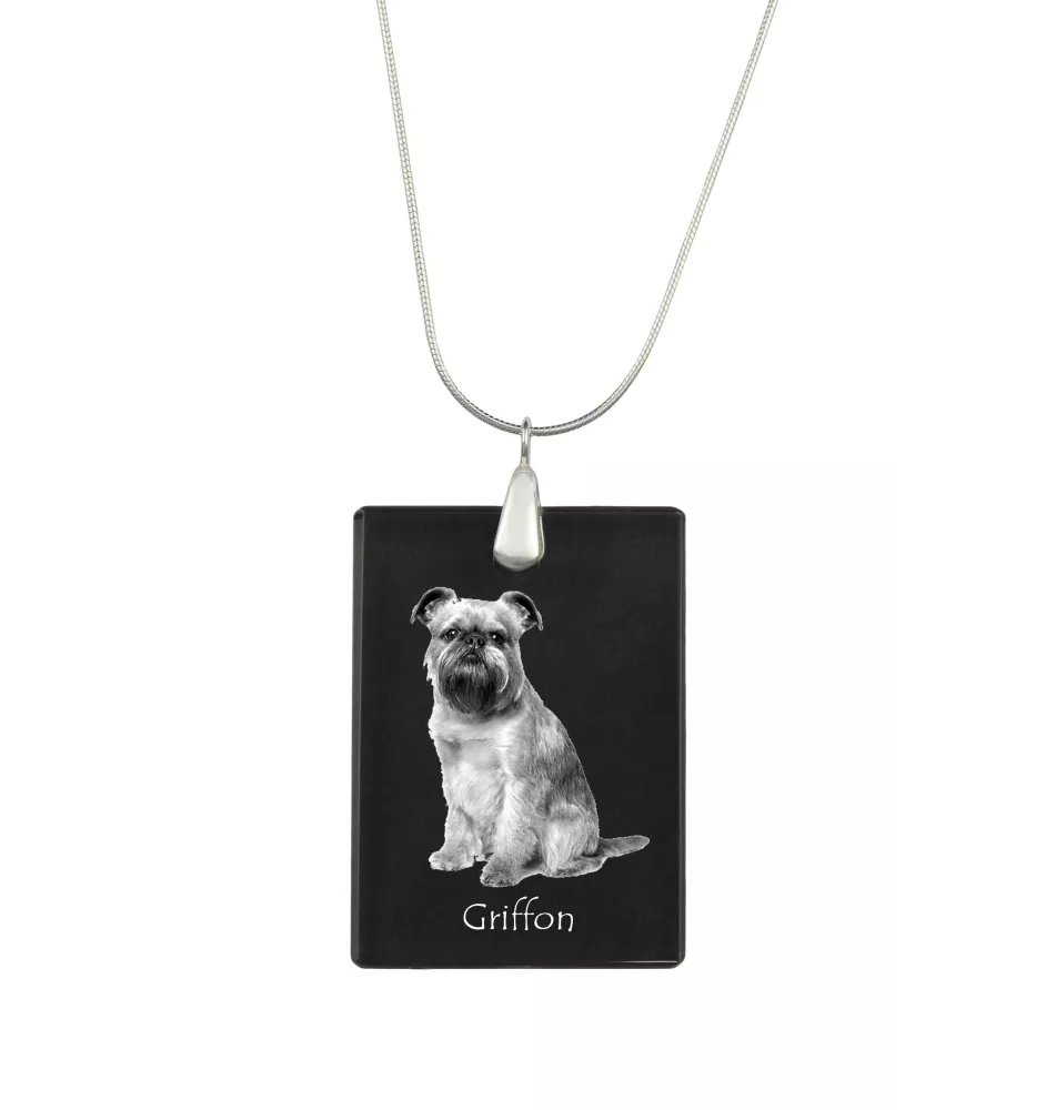 Brüsseler Griffon, Griffon Bruxellois - Kristallanhänger mit Hund, Silberhalskette mit Foto, personalisierter Anhänger der Marke Art-Dog