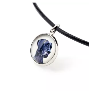 Great Dane - a set of jewelry in a box, necklace, earrings, bracelet, products from the Art-Dog brand