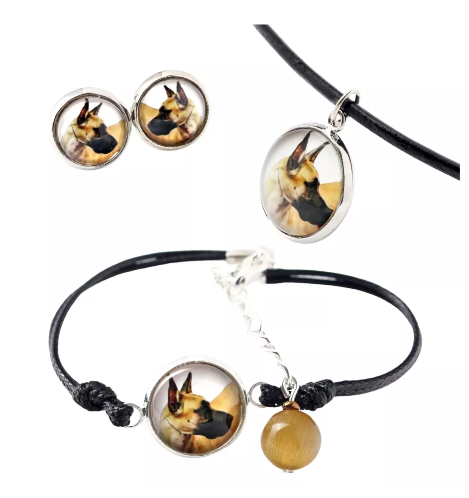 Great Dane I - a set of jewelry in a box, necklace, earrings, bracelet, products from the Art-Dog brand