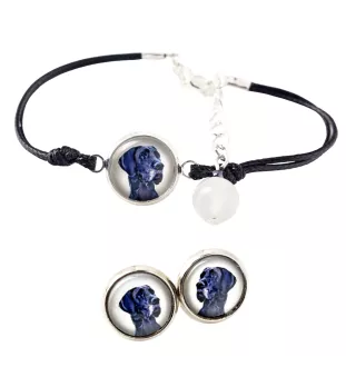 Dogue allemand, Grand danois - ensemble de bijoux avec votre photo, accessoire féminin, article fait main, produit fabriqué à la main avec passion pour la création de la marque Art-Dog