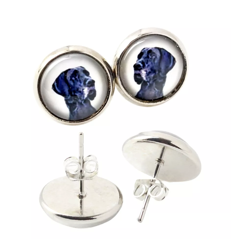 Great Dane - earrings in a box, your photo, handmade jewelry, a product of the Art-Dog brand