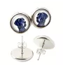 Great Dane - earrings in a box, your photo, handmade jewelry, a product of the Art-Dog brand