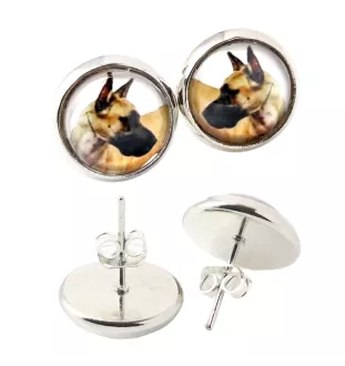 Deutsche Dogge, Ulmer Dogge, Große Dogge I - Ohrringe in einer Schachtel, Ihr Foto, handgefertigter Schmuck, Eigenmarke von Art-Dog.