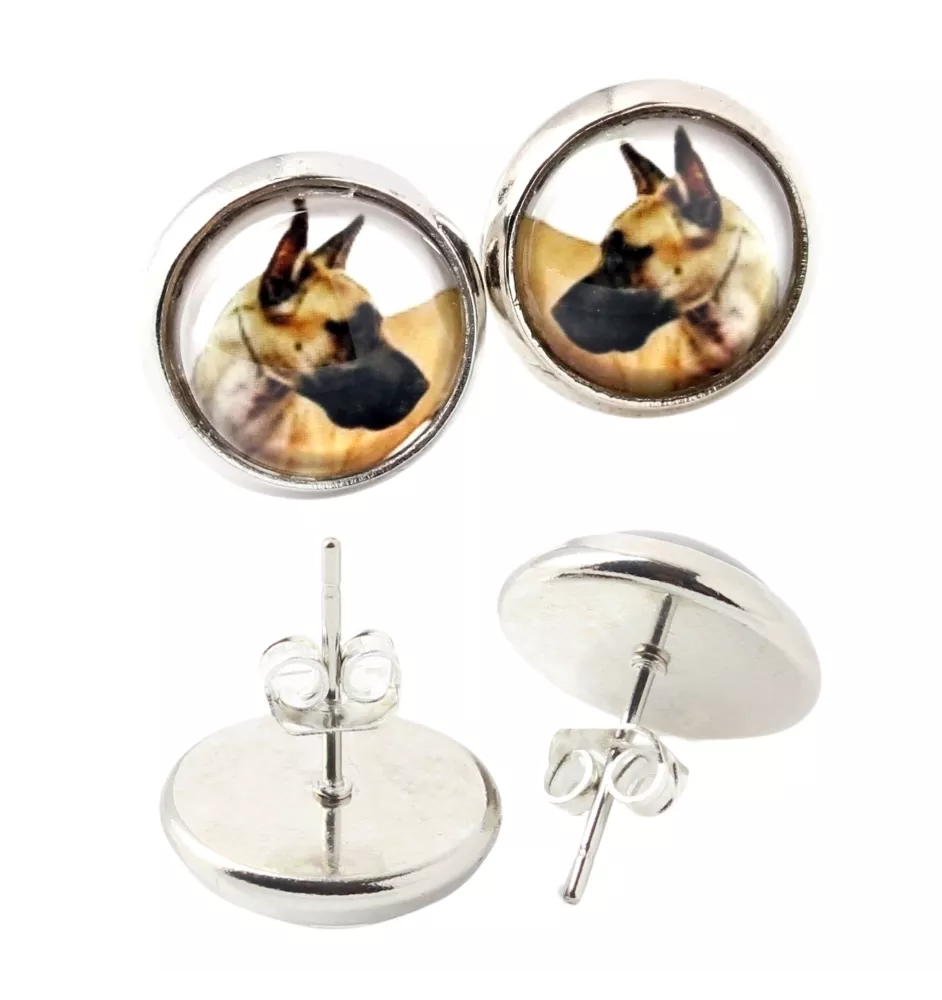 Dog niemiecki I kolczyki w pudełku ze zdjęciem Art-Dog