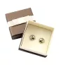 Great Dane I - earrings in a box, your photo, handmade jewelry, a product of the Art-Dog brand