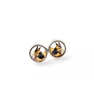 Great Dane I - earrings in a box, your photo, handmade jewelry, a product of the Art-Dog brand