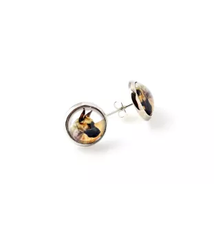 Great Dane I - earrings in a box, your photo, handmade jewelry, a product of the Art-Dog brand